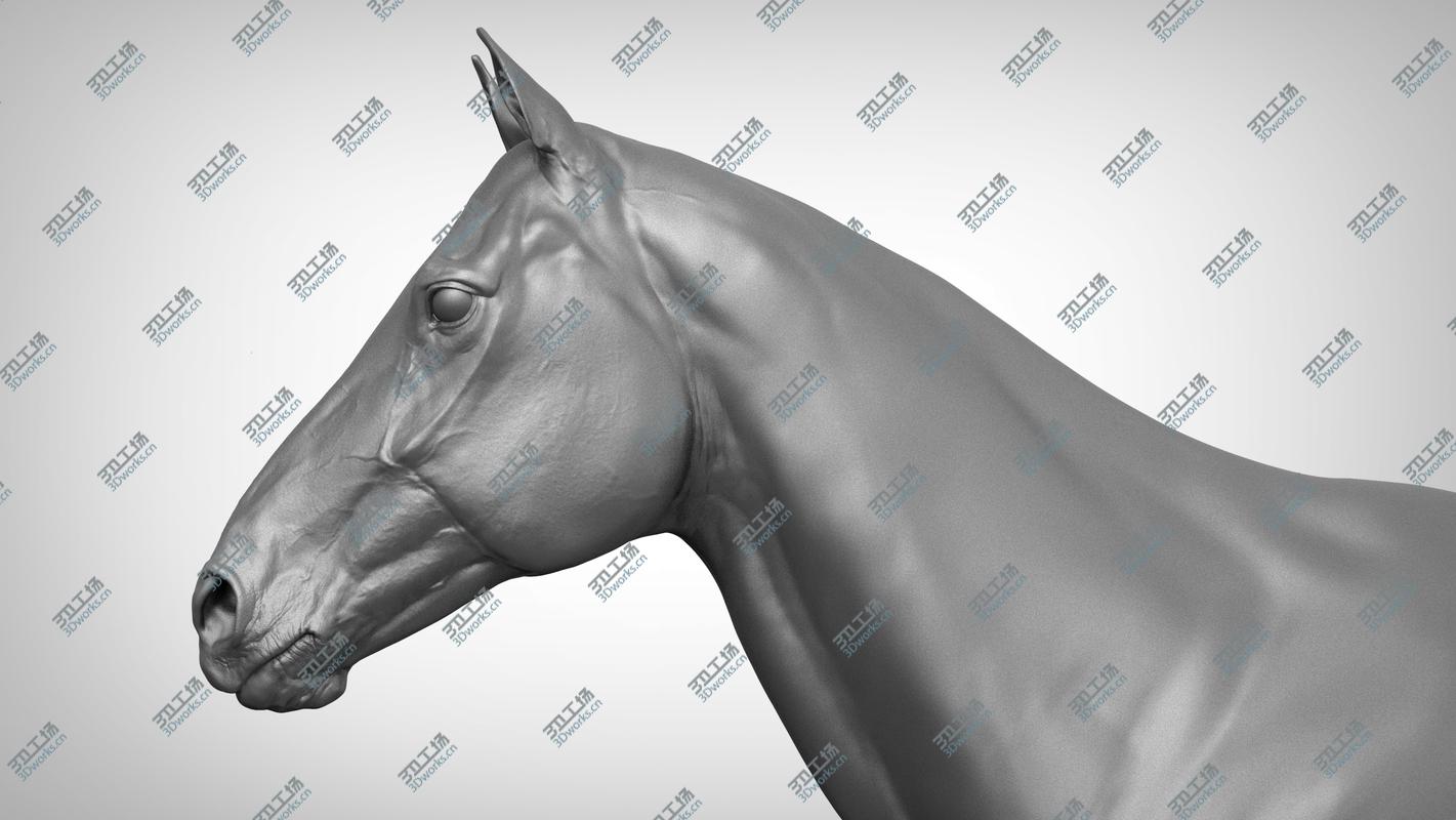 images/goods_img/20210313/3D Base Horse v2/4.jpg